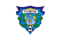 Флаг футбольного клуба Волга Ульяновск 150х225 см