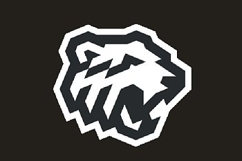 Флаг хоккейного клуба Белые Медведи Челябинск